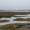 IMG_5629