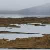 IMG_5630